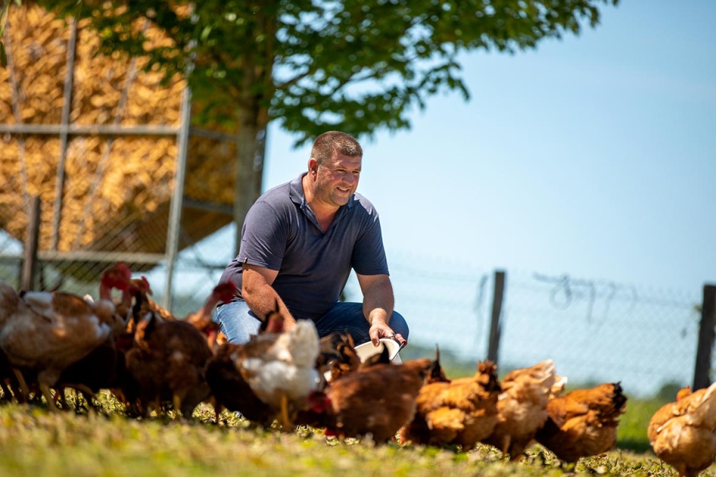 La Ferme Souletine