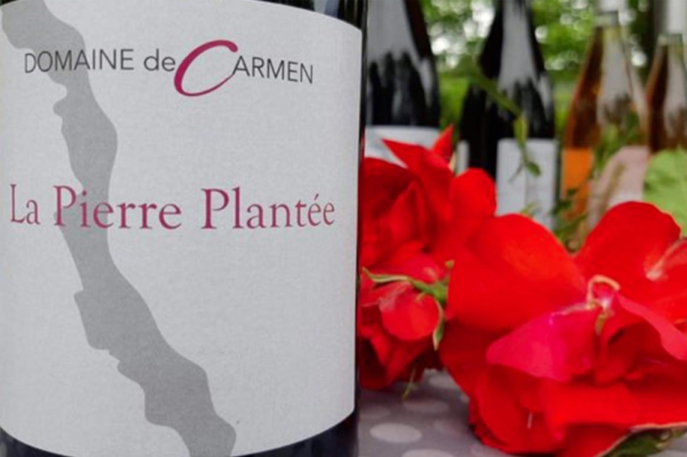 Domaine de Carmen