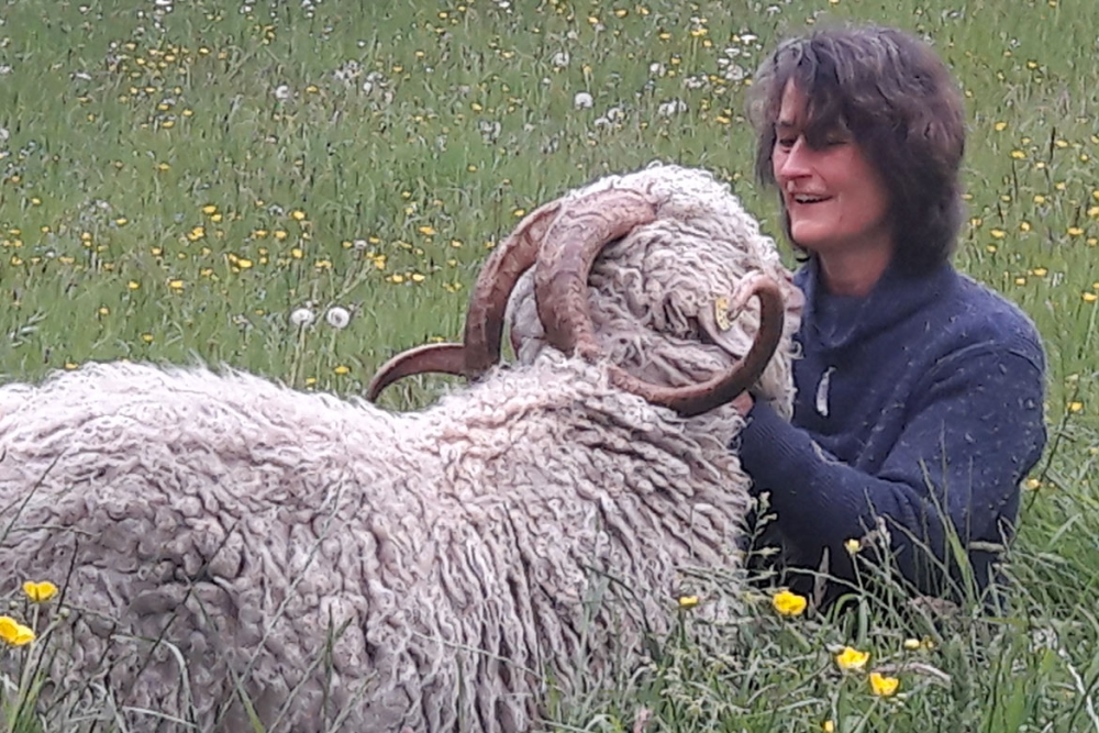 La Ferme du Doux Mohair