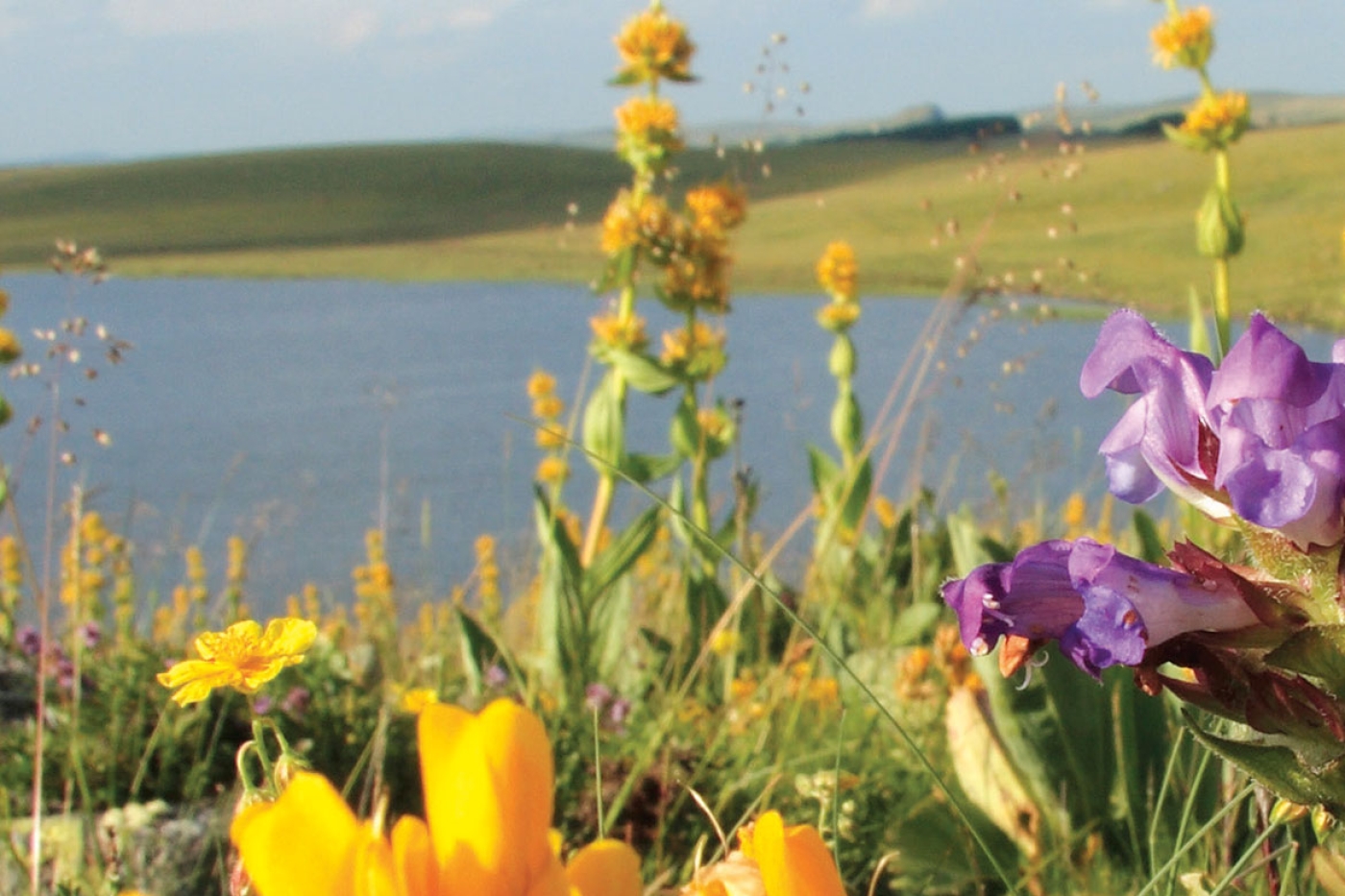 Le Tour des Monts d’Aubrac