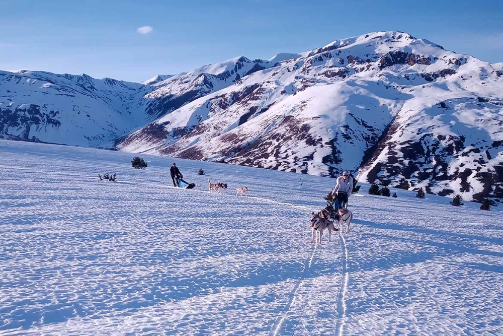 Les Traineaux de la Vallée des Ours